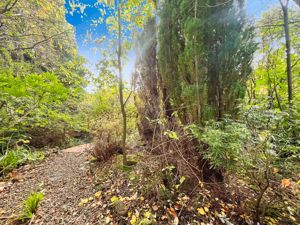 Photo 23- click for photo gallery